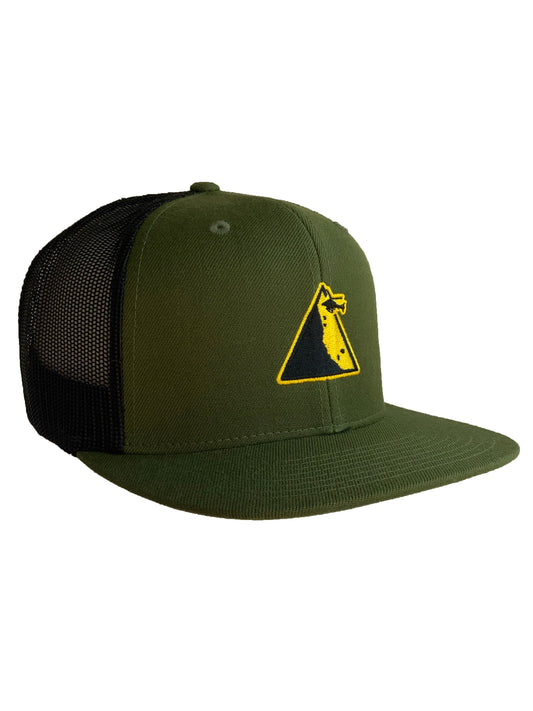 Green and black cap with a yellow logo on a white background