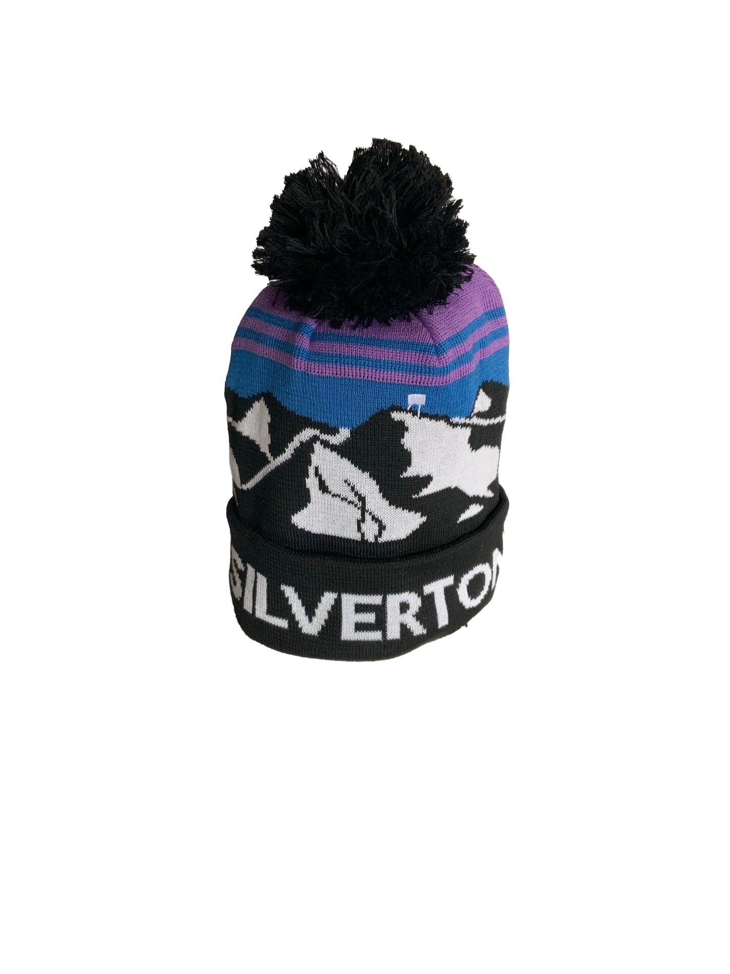 Purple Pom Beanie