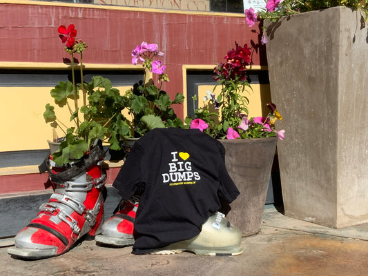 Kids I Heart Big Dumps T