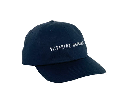 Navy Dad Hat with logo on the back