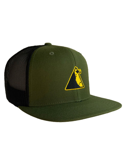 Green and black cap with a yellow logo on a white background